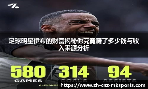 足球明星伊布的财富揭秘他究竟赚了多少钱与收入来源分析